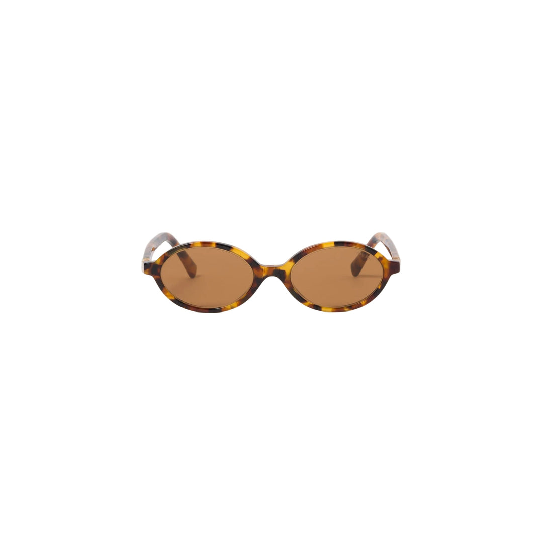 Sunglasses Regard